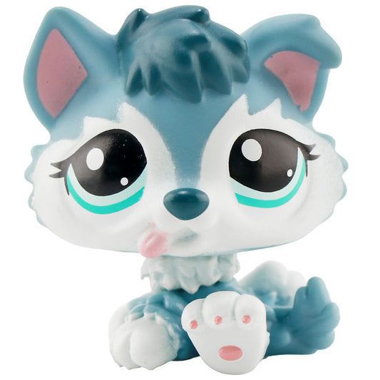 Littlest Pet Shop lps husky #2036 Blue and White Body Collectable Puppy Rare Toy